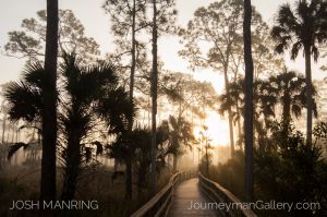 Josh Manring Photographer Decor Wall Art -  Florida Everglades -75.jpg